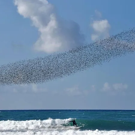 Agrilis Near The Holiday home *