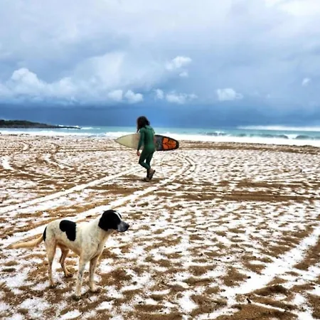 Agrilis Near The Holiday home Agrilos