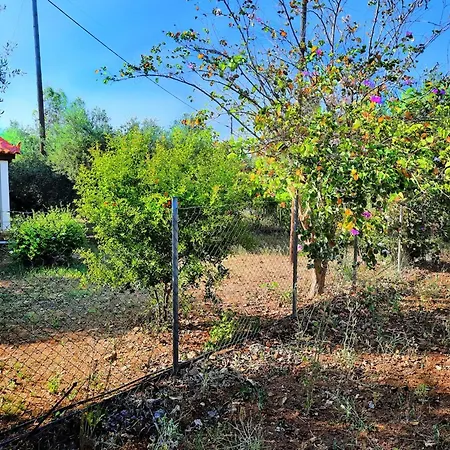 Agrilis Near The * Ágrilos