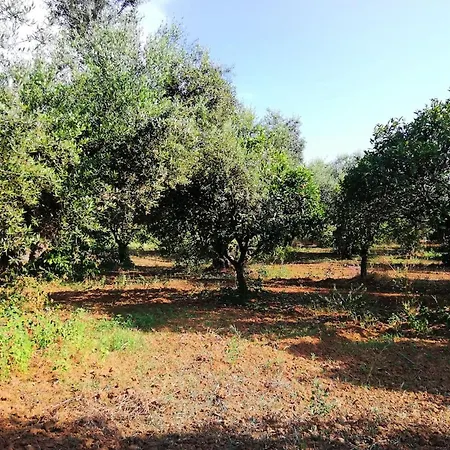 Holiday home Agrilis Near The