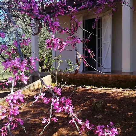 Holiday home Agrilis Near The *