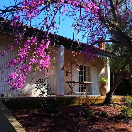 Agrilis Near The Holiday home Agrilos