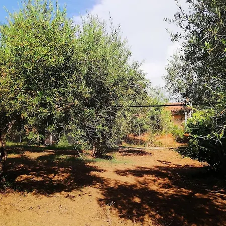 Agrilis Near The Ágrilos