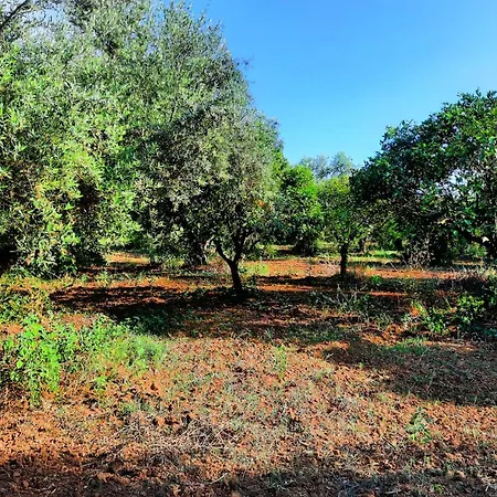 Holiday home Agrilis Near The