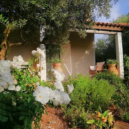 Agrilis Near The Agrilos