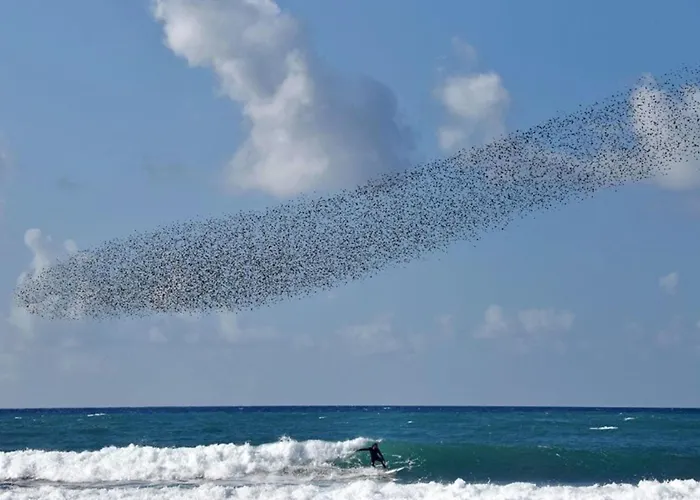 Agrilis Near The Casa de Férias *