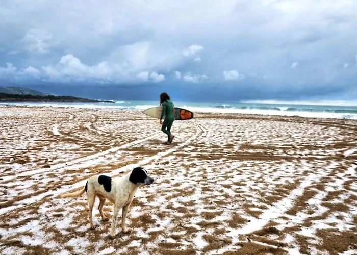 Agrilis Near The Casa de Férias Agrilos