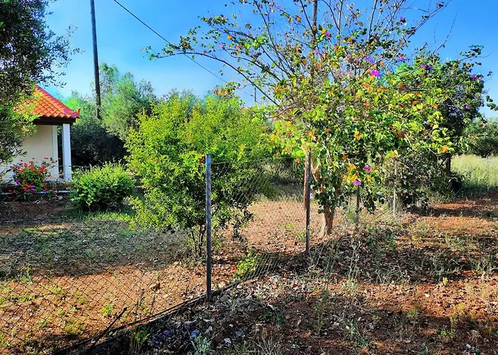 Agrilis Near The * Agrilos