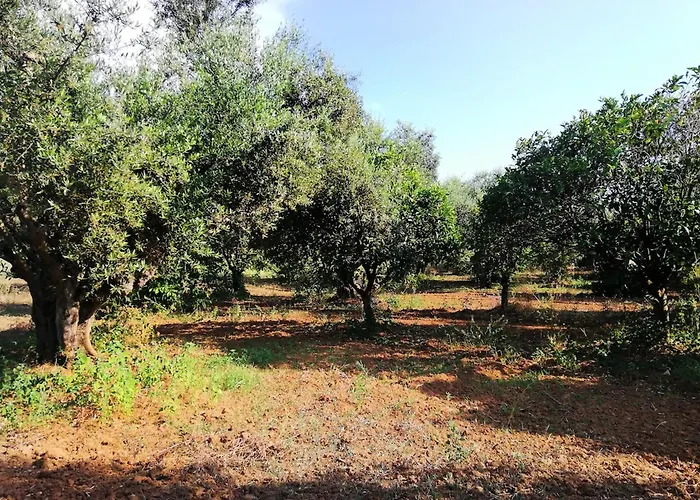 Casa de Férias Agrilis Near The