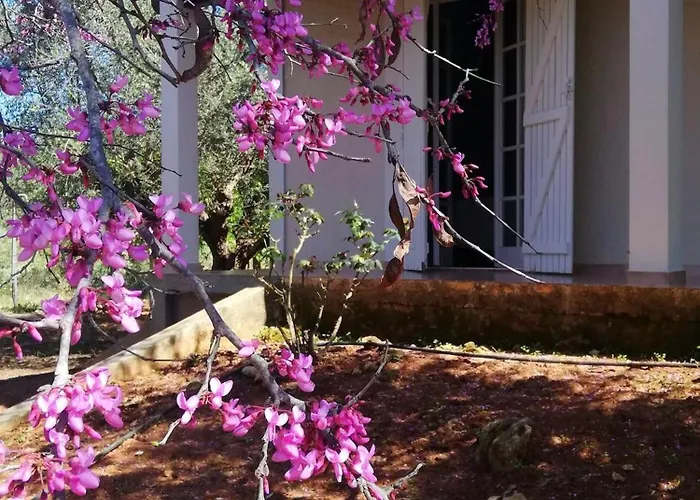 Casa de Férias Agrilis Near The *