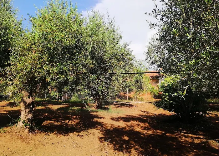 Agrilis Near The Agrilos