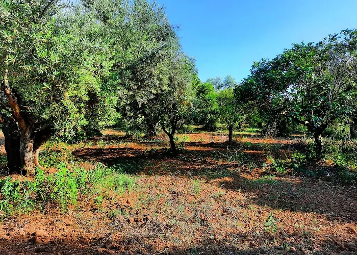 Casa de Férias Agrilis Near The