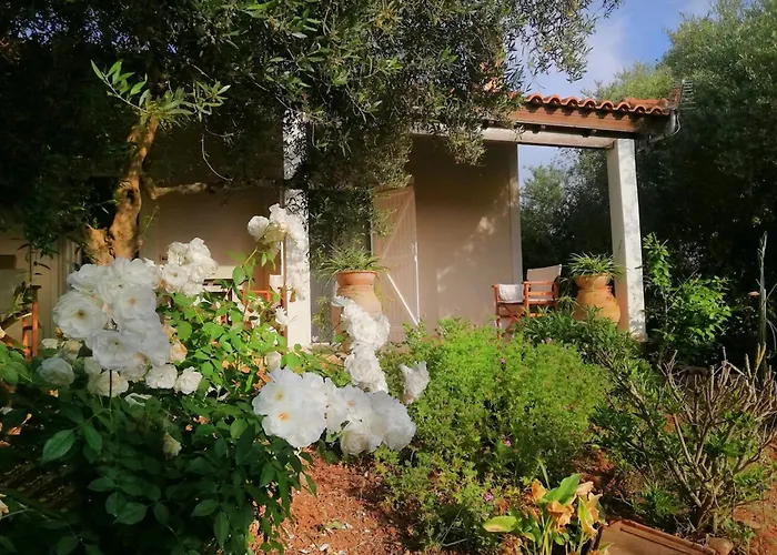 Agrilis Near The Agrilos