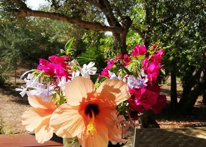 Agrilis Near The Casa de Férias *